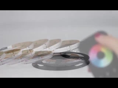 dipimpin lampu strip RGBW tongkol