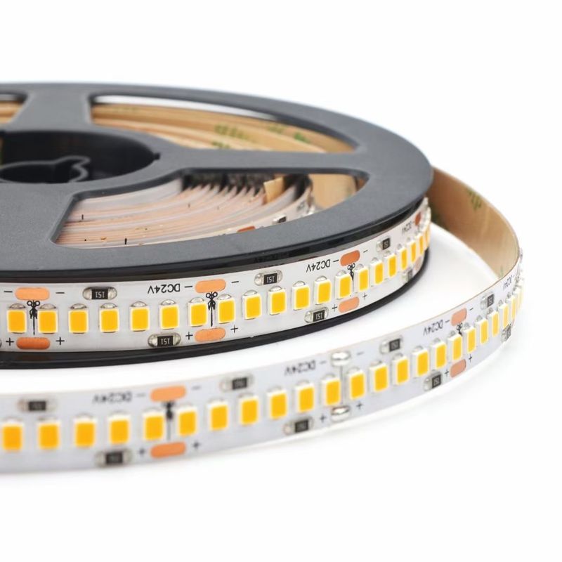 3000K 4000K 6500K 12 Volt LED Strip Lampu Fleksibel 24V SMD2835 Smart Dual 2 Warna Air Berjalan