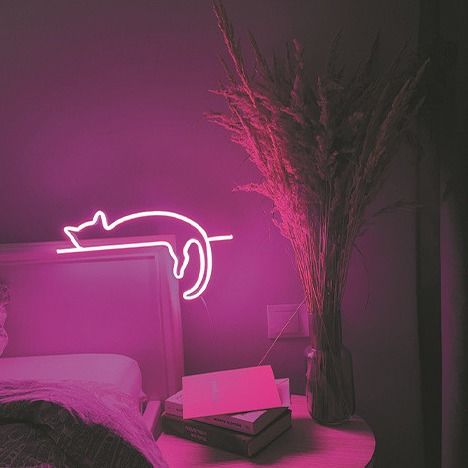 Bright Flexible Neon LED Strip Light Silicone DC 12V Waterproof Decorative