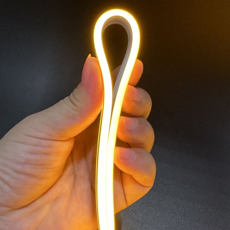 Led Neon Flex Rope Light Dual Color Neon Flex Led Strip 24V Led Lampu Tabung Fleksibel